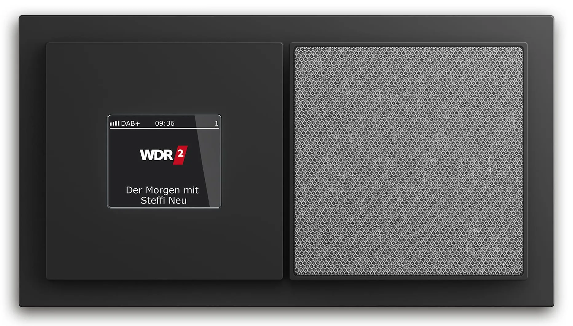 Busch-art linear Lautsprechermodul von Busch-Jaeger mit DAB+-Radiodisplay und quadratischem Lautsprechergitter in dunklem Rahmen
